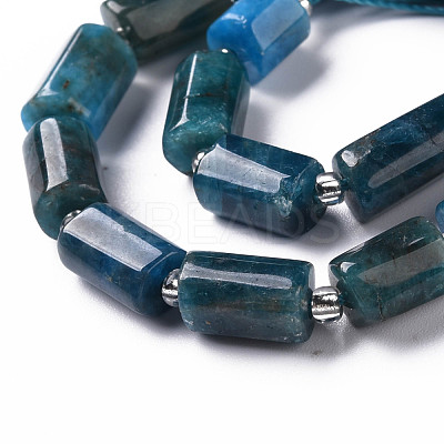 Natural Apatite Beads Strands X-G-S345-8x11-003-1