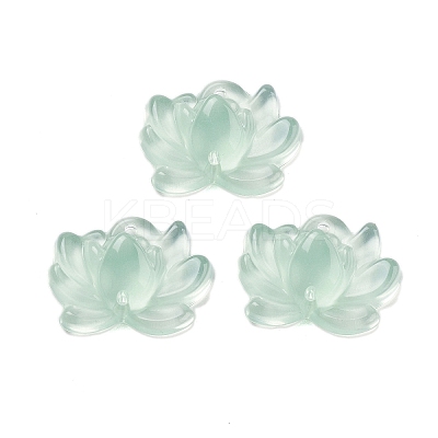 Acrylic Beads OACR-U001-05C-1