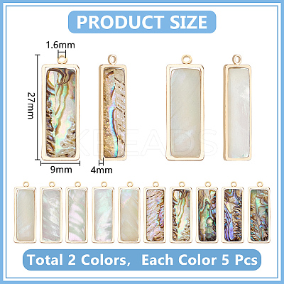 10Pcs 2 Styles Natural Paua Shell Pendants KK-WR0001-71-1