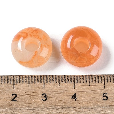 Two Tone Resin European Beads RESI-F055-09-1