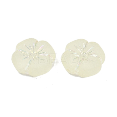 Frosted Transparent Acrylic Beads X1-OACR-P029-19B-03-1