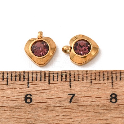304 Stainless Steel Charms STAS-I165-05G-01-1