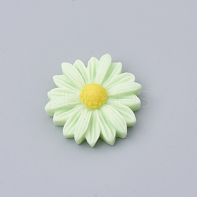 Resin Cabochons LS-CRES-N007-10L-1