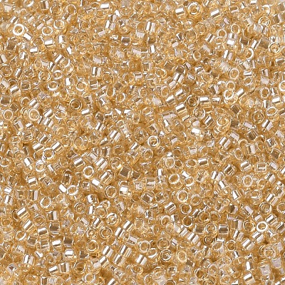 MIYUKI Delica Beads SEED-J020-DB0099-1