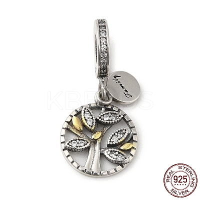 Thailand 925 Sterling Silver Micro Pave Clear Cubic Zirconia European Dangle Charms STER-NH0001-08AS-1