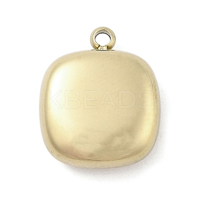 316 Surgical Stainless Steel Charms LS-STAS-S159-02C-G-1