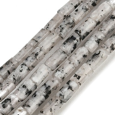 Natural Seame Jasper Beads Strands G-P600-B11-01-1