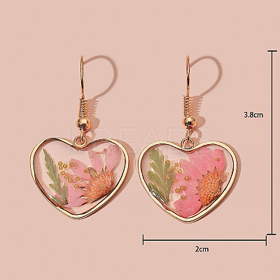 Heart Alloy Resin Dangle Earrings FS-WG72C44-02-1