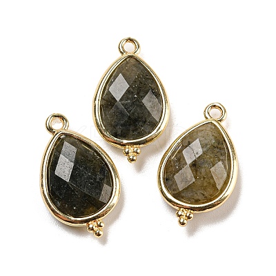 Natural Labradorite Faceted Pendants G-M431-15G-04-1