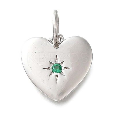 925 Sterling Silver Micro Pave Clear Cubic Zirconia Charms STER-V001-01P-05-1