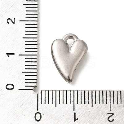 Anti-Tarnish 304 Stainless Steel Charms STAS-I321-79P-1