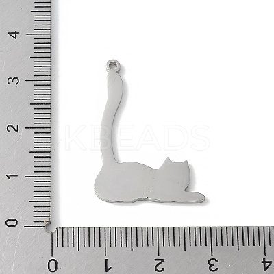 304 Stainless Steel Pendants LS-STAS-E501-11P-1