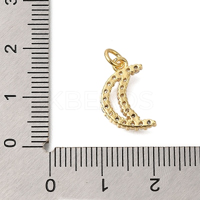 Rack Plating Brass Micro Pave Cubic Zirconia Pendants ZIRC-F142-13A-G-1