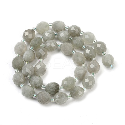 Natural Malaysia Jade Beads Strands G-D305-A01-01D-1