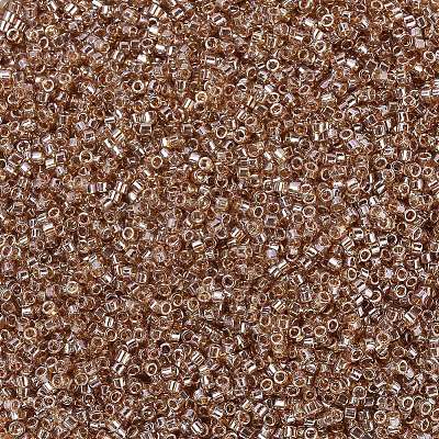 MIYUKI Delica Beads SEED-X0054-DB1221-1