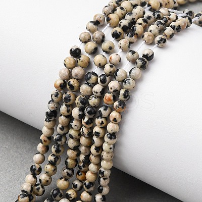 Natural Dalmatian Jasper Beads Strands G-Z116-A10-3mm-1
