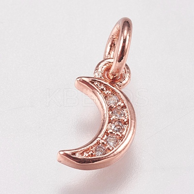 Brass Micro Pave Cubic Zirconia Charms ZIRC-E147-59RG-1