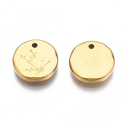 316 Surgical Stainless Steel Charms LS-STAS-S116-418A-G-1
