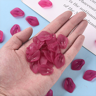 Transparent Frosted Acrylic Pendants MACR-S371-03A-706-1