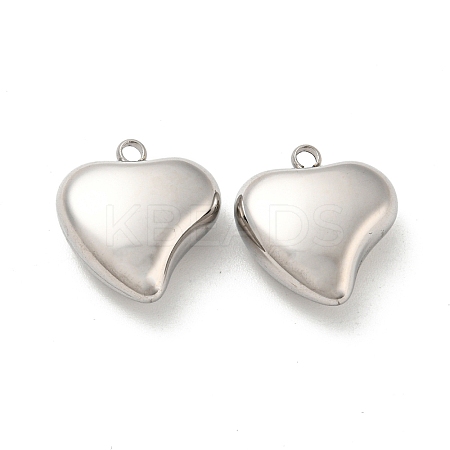 Non-Tarnish 304 Stainless Steel Pendants STAS-L022-197P-1