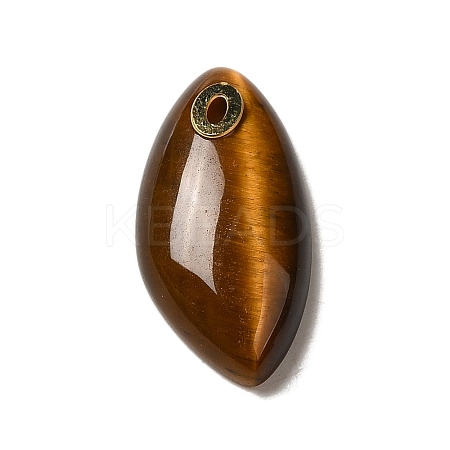 Natural Tiger Eye Pendants G-K355-01G-04-1