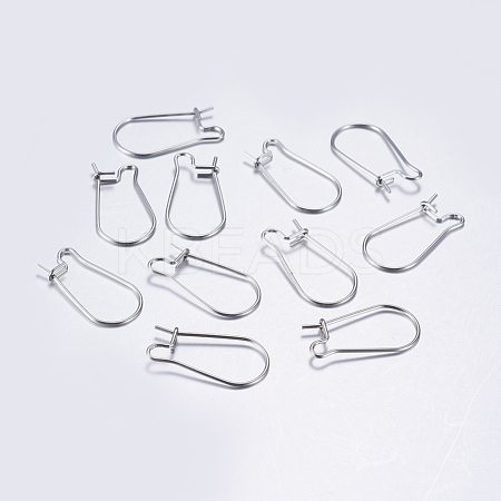 304 Stainless Steel Hoop Earrings STAS-L198-15B-P-1