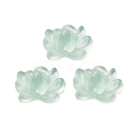 Acrylic Beads OACR-U001-05C-1