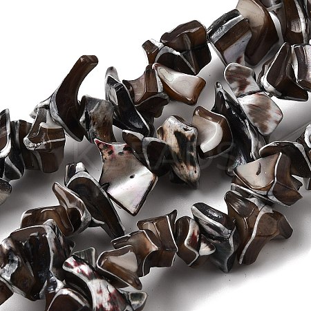 Natural Trochid Shell/Trochus Shell Beads Strands SHEL-B003-02M-1