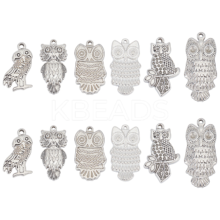 12Pcs 6 Style 304 Stainless Steel Pendants STAS-UN0024-59-1