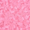 FGB Frosted Transparent Glass Seed Beads SEED-N013-05A-05-3
