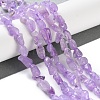 Natural Lavender Amethyst(Dyed & Heated) Beads Strands G-P497-01C-44-2