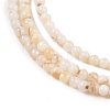 Natural Freshwater Shell Beads Strands SHEL-T011-02-4mm-3