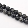 Faceted Round Natural Larvikite Beads Strands G-E302-083-8mm-1
