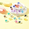 32Pcs 4 Styles AB Color Resin  Pendants RESI-FS0001-84-9