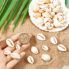 100Pcs 2 Styles Natural Cowrie Shell Pendants BSHE-SC0001-22-3