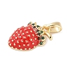 Brass Micro Pave Cubic Zirconia Enamel Pendants LS-KK-M326-05C-G-2