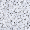 6/0 Glass Seed Beads SEED-N008-07N-3