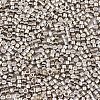 FGB 11/0 Grade A Glass Seed Beads SEED-S030-1206-2