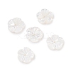 Natural Trochid Shell/Trochus Shell Beads SHEL-P014-02A-2
