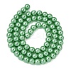 Eco-Friendly Dyed Glass Pearl Round Beads Strands HY-A002-6mm-RB008-5