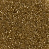 MIYUKI Delica Beads SEED-MY11-DB0118-3