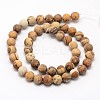 Natural Picture Jasper Beads Strands LS-G-D686-8mm-2