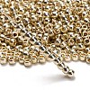 TOHO 6/0 Round Beads X-SEED-TR06-PF0558-2