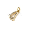 Brass Micro Pave Cubic Zirconia Charms LS-KK-H077-02G-02-2