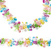 2Pcs Polyester Lace Trim Ribbons OCOR-TADJ0001-01-1