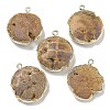 Electroplated Natural Druzy Agate Pendants G-A229-01B-1