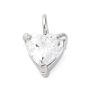 304 Stainless Steel Micro Pave Cubic Zirconia Pendants LS-STAS-U042-02A-P-1