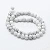 Natural Howlite Beads Strands G-F518-22-8mm-2