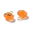 Halloween Pumpkin Opaque Resin Charms LS-RESI-B010-02-3