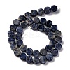 Natural Sodalite Beads Strands G-C159-B10-01-2